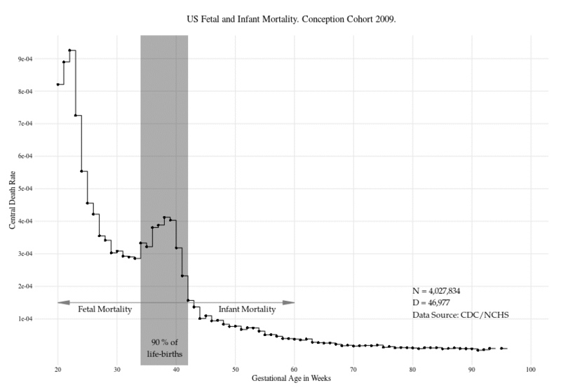 Teaser image for The Age Pattern of Human Fetal- and Infant Mortality