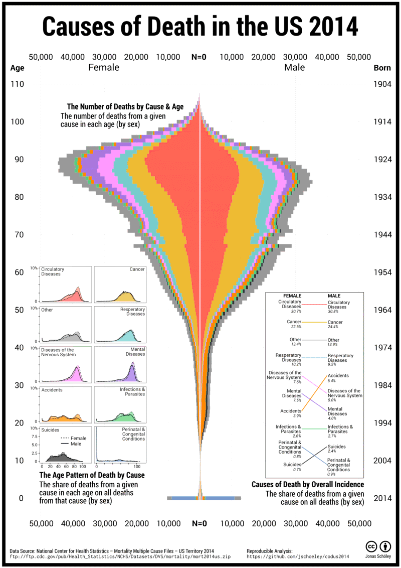 Teaser image for My Reply to flowingdata's Causes of Death Chart