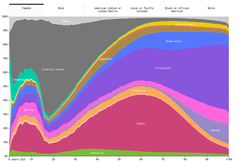 Causes of Death by Nathan Yau posted on flowingdata.com