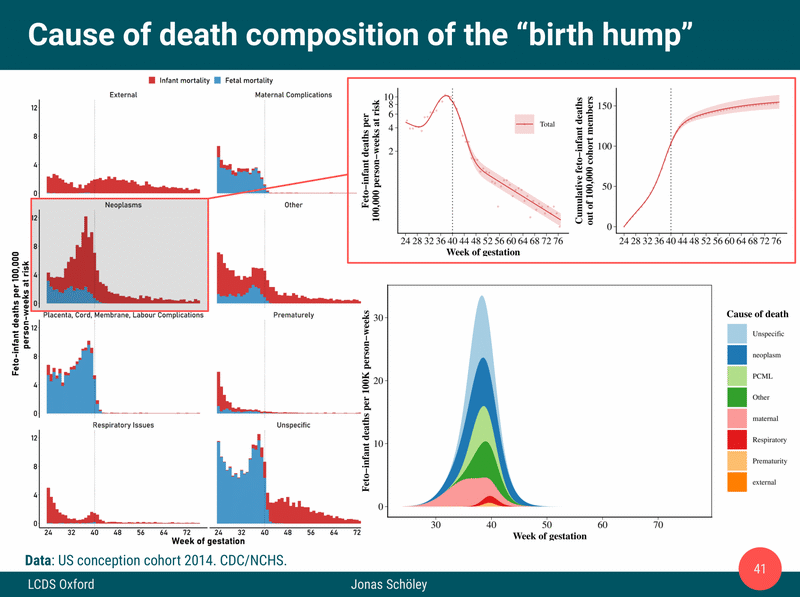 Teaser image for The birth hump – A shape decomposition of perinatal excess mortality
