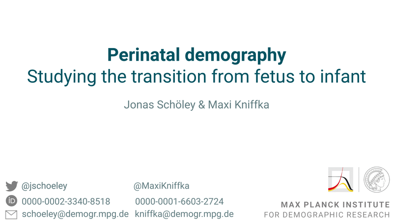 Teaser image for Perinatal demography – studying the transition from fetus to infant
