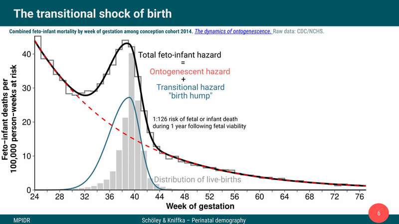 Teaser image for The 