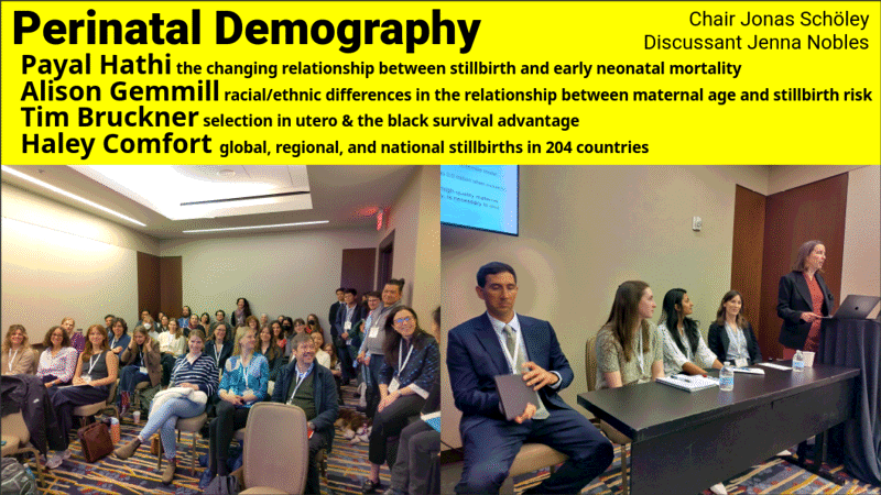 Teaser image for Perinatal Demography