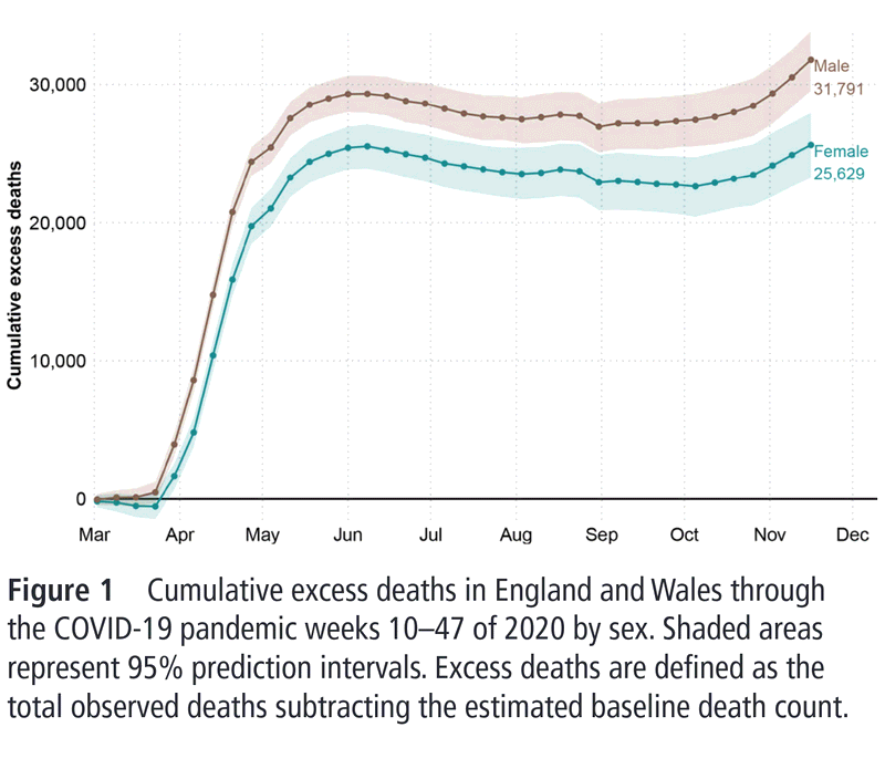 Teaser image for Estimating the burden of the COVID-19 pandemic on mortality, life expectancy and lifespan inequality in England and Wales: a population-level analysis
