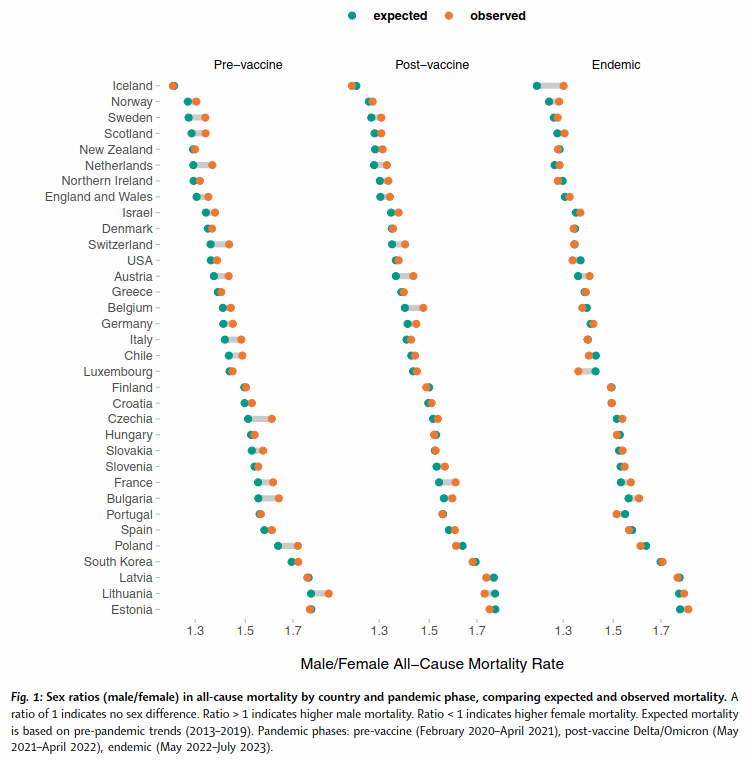 Teaser image for Sex differences in excess mortality during the COVID-19 pandemic: a longitudinal ecological analysis of 34 high-income countries
